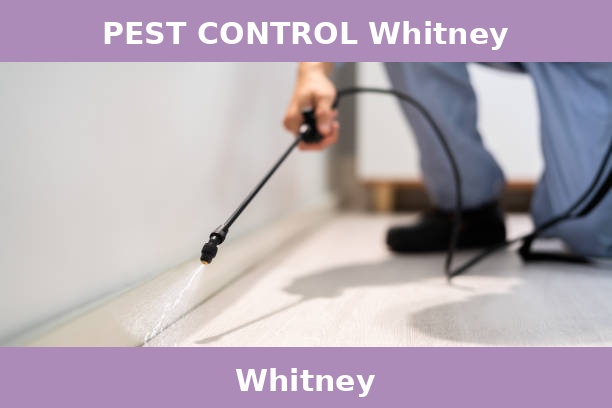 PEST CONTROL Whitney